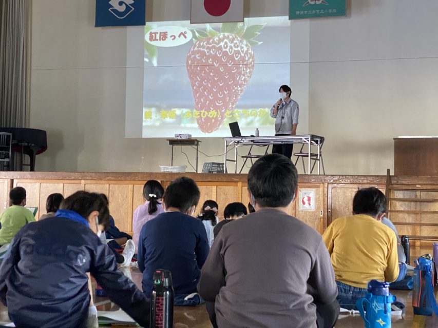 地域のじまんを学ぼう 井宮北小学校イチゴの授業｜JA静岡市