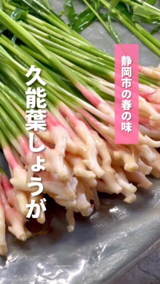 自然薯｜JA静岡市